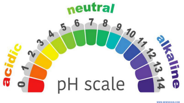 Vaginal pH Balance